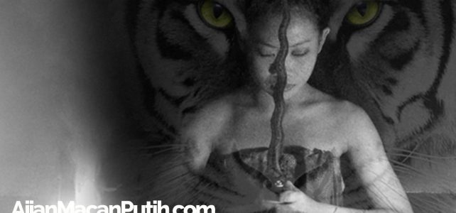 Beginilah Awal Cerita Dahsyatnya Ajian Macan Putih Prabu Siliwangi